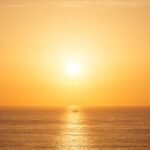 Joburg SASSA Office Closure: What You Need to Know Until 2025 SASSA